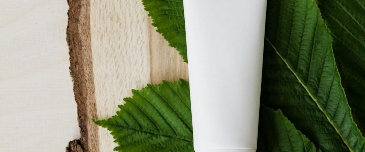 Shea butter skincare ingredients